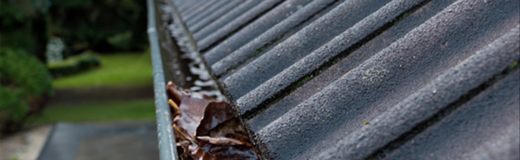 roof gutter cleaning near me