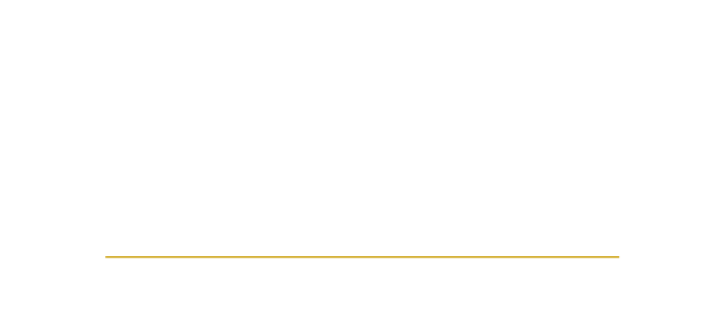 novalis logo yellow