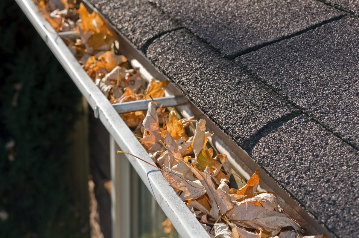 Leaves in gutters on a house