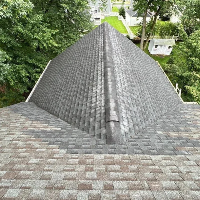 Novalis Roof Repair Projects (5)