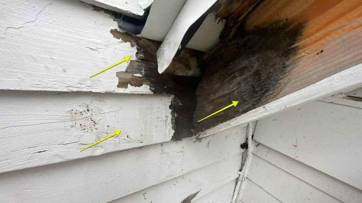 siding damage