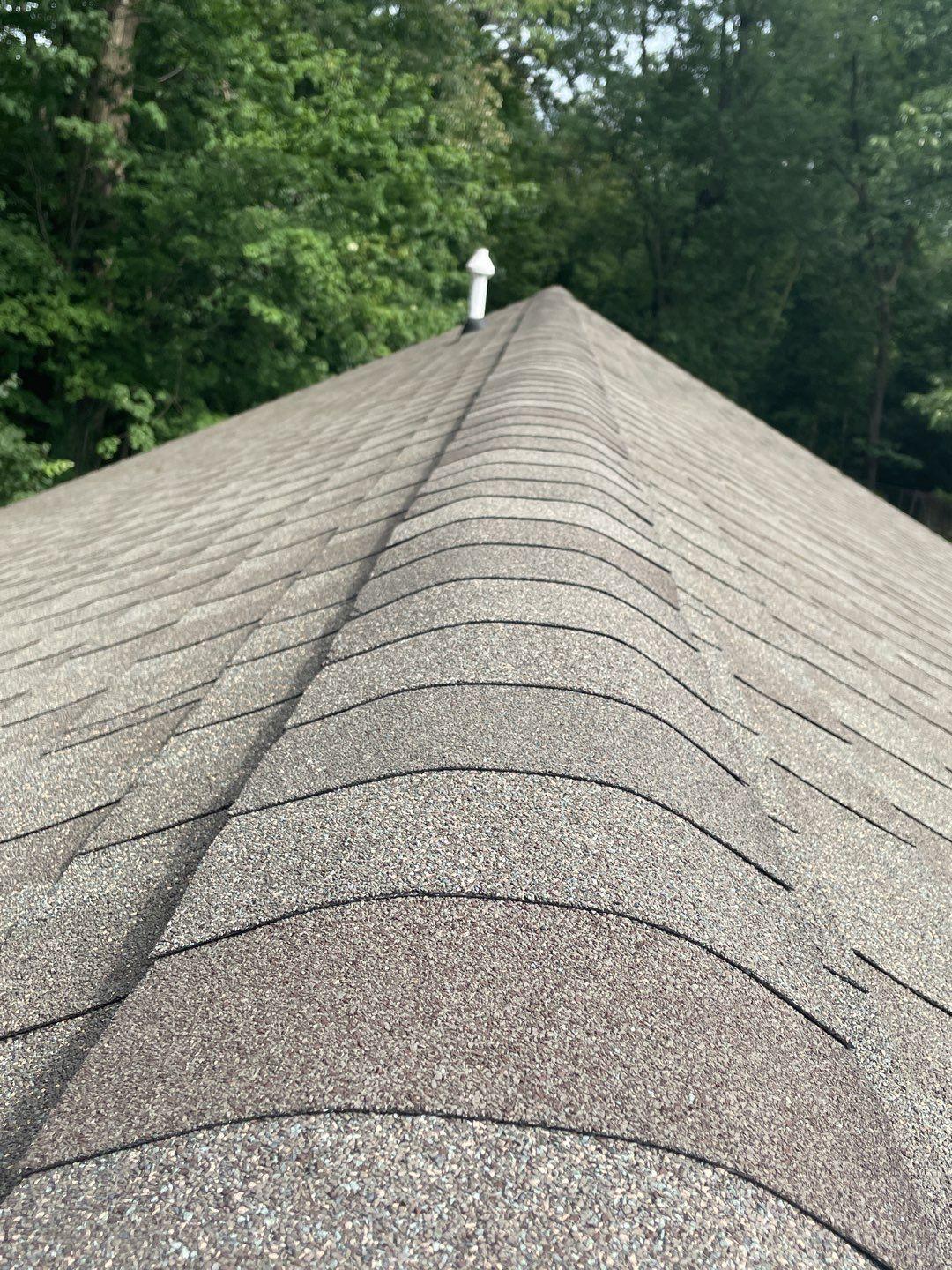 asphalt shingles