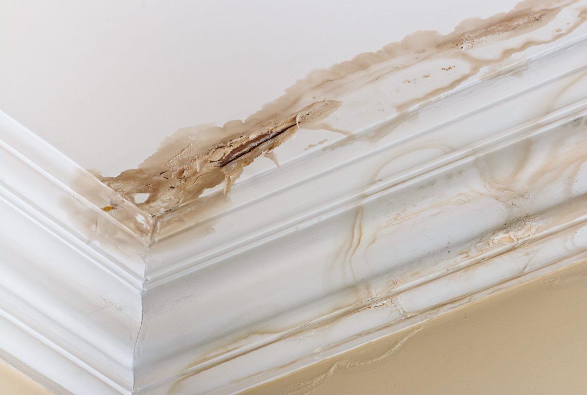 3 Sure Signs You Have a Roof Leak