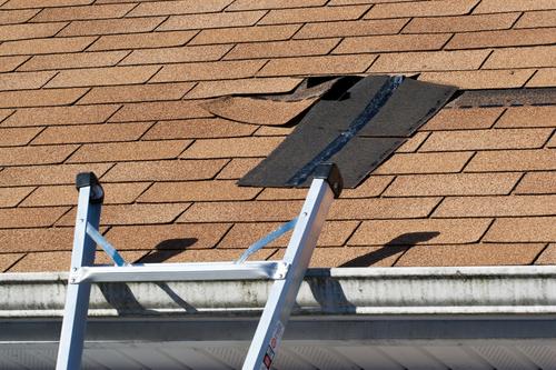 Roofing Signs You Should Never Ignore