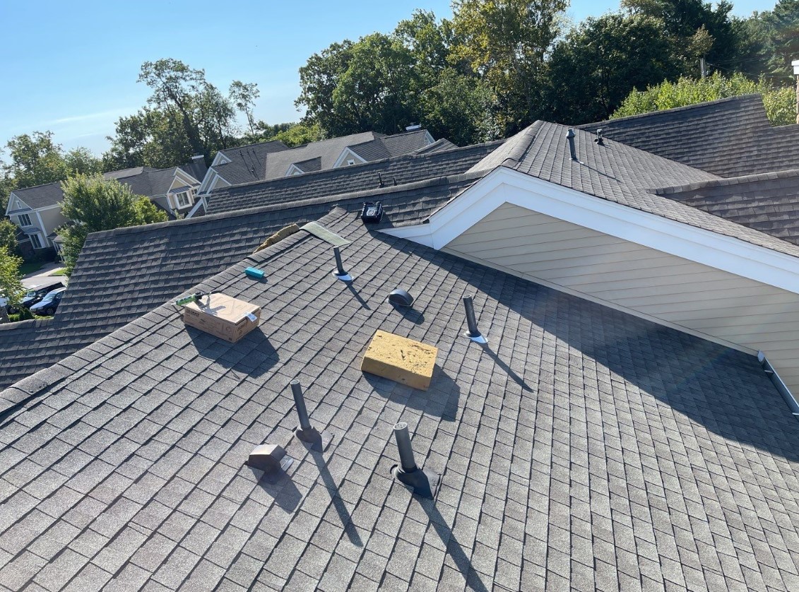 Insider’s Look At Professional Roof Tile Repair: What Homeowners Must Know