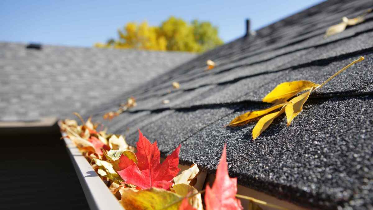 roof maintenance