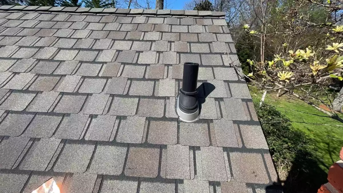 New roof with architectural shingles and a properly flashed black aluminum vent pipe surrounded by trees and a chimney base.