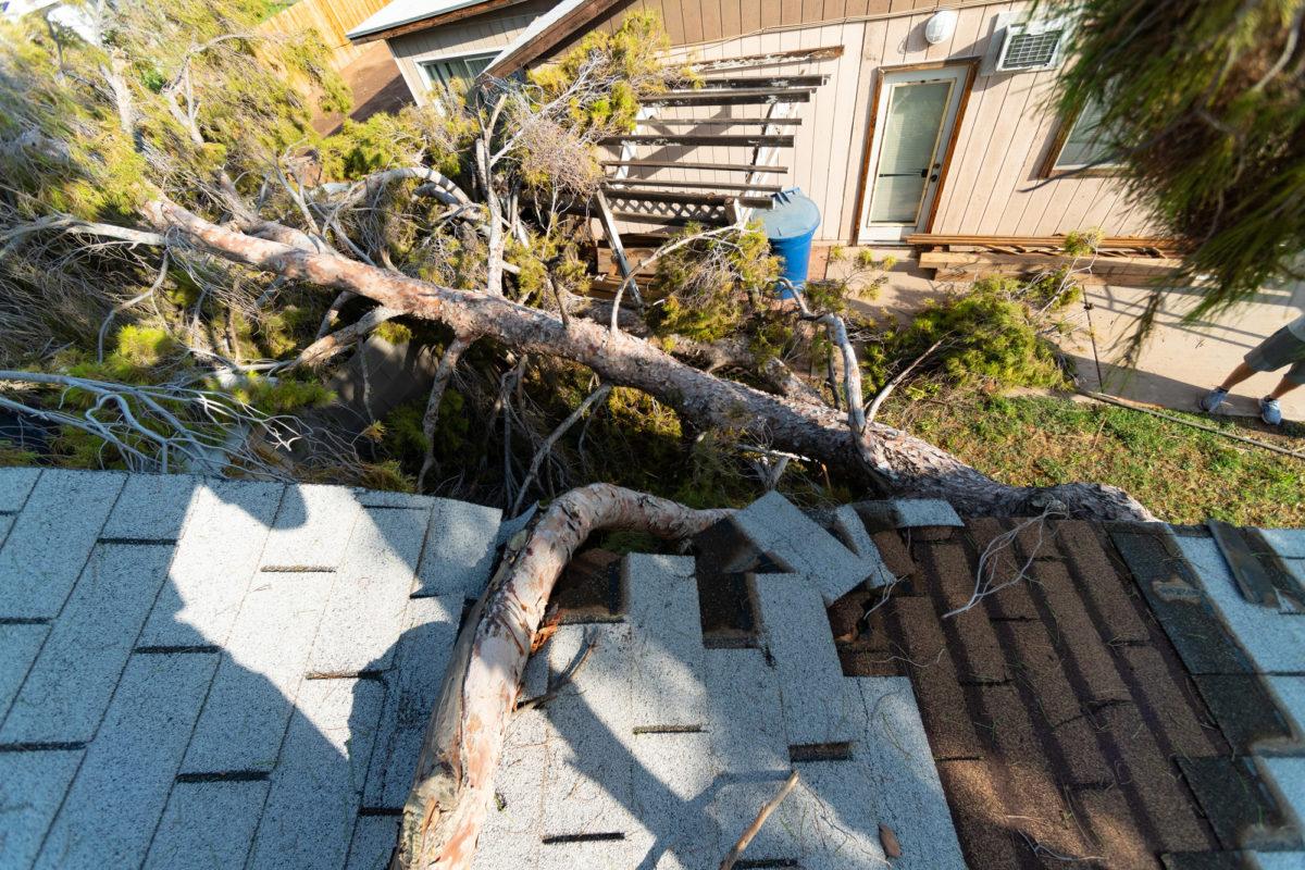 storm roof damage
