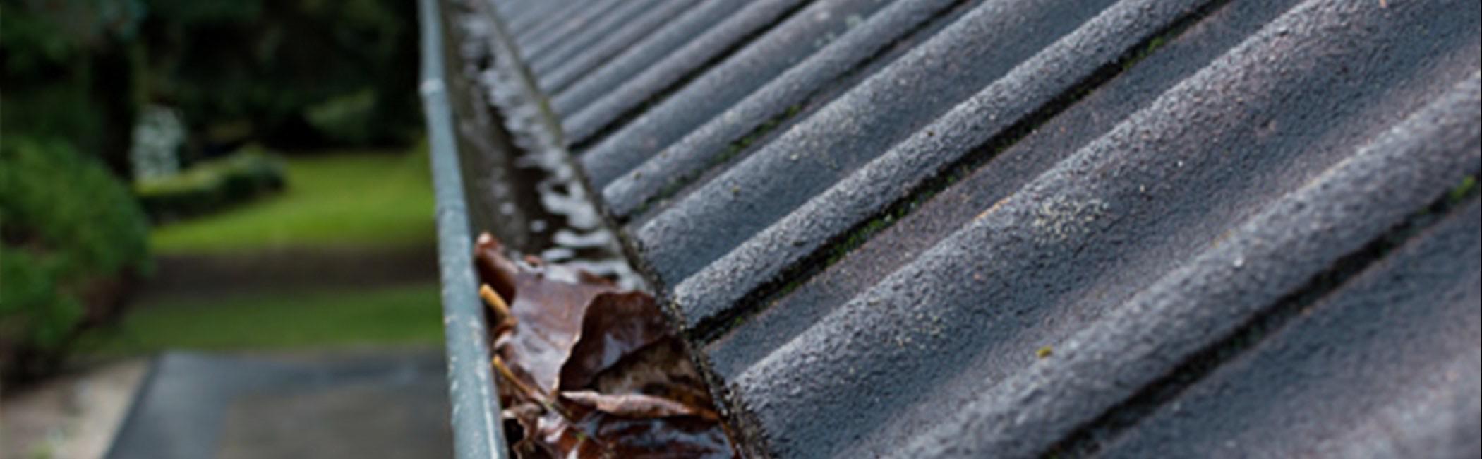 4 Signs That You Need a Roof Replacement