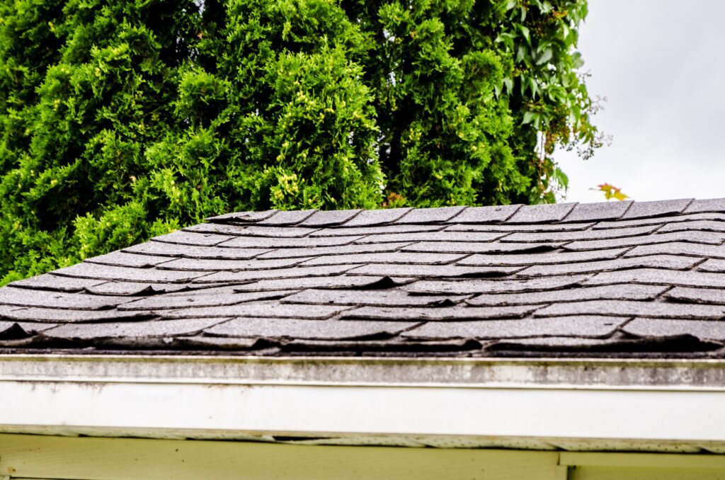 The Hidden Costs of Delaying Roof Repairs in Winter