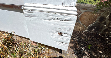 Corner post base rot at foundation level in Chatham NJ — wood fiber fully deteriorated through face